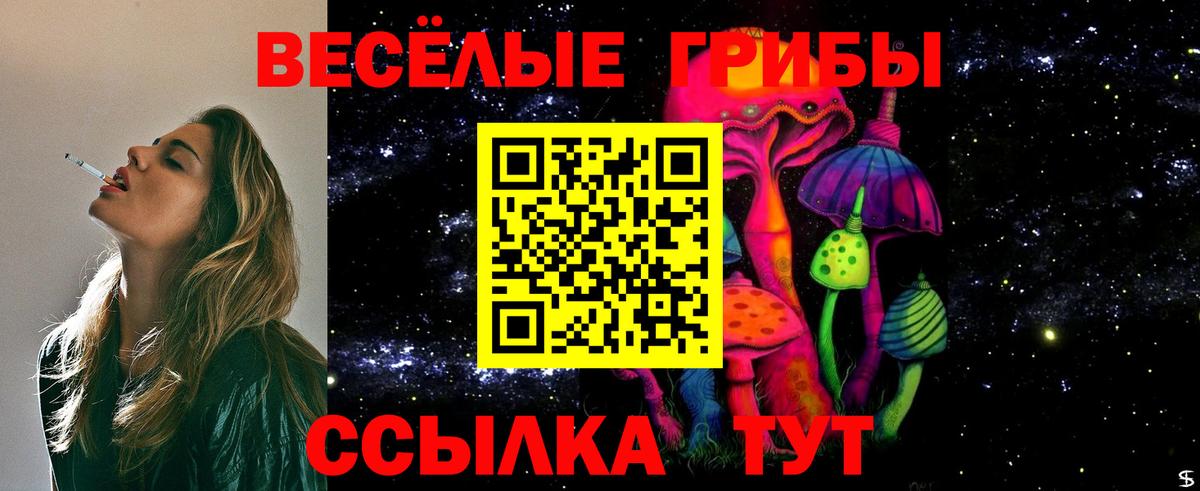 Галлюциногенные грибы Psilocybe  Галлюциногенные грибы мухоморы  Алексеевка  Вход с VPN 